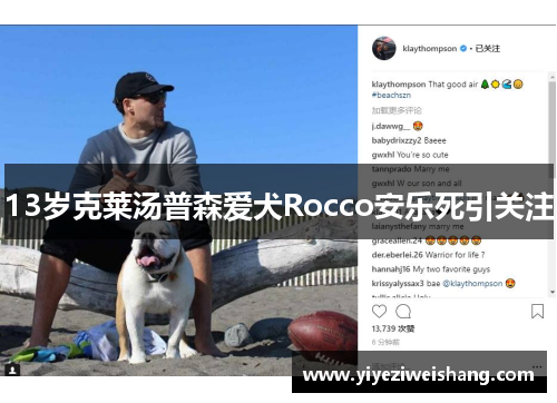13岁克莱汤普森爱犬Rocco安乐死引关注